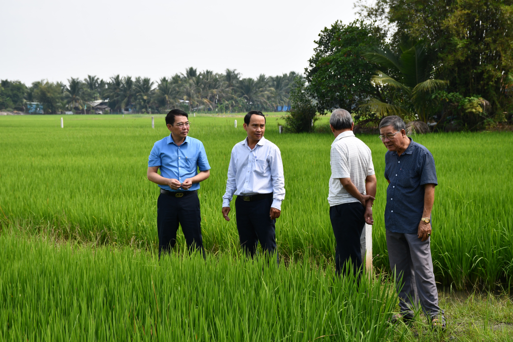 đức hòa long an